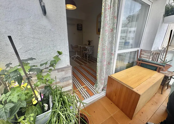 Amapola De Steram Flats