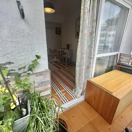 Amapola De Steram Flats